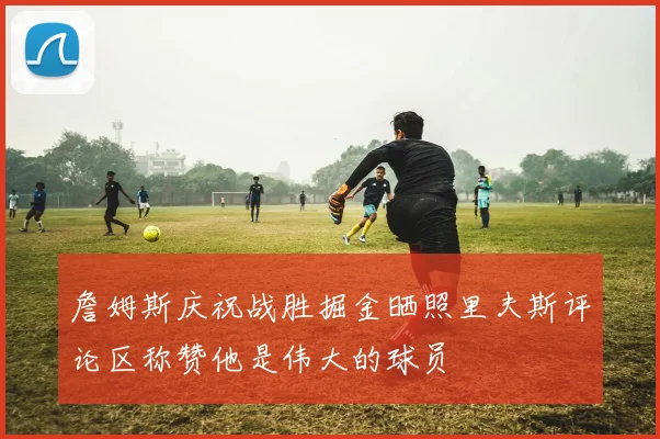 詹姆斯庆祝战胜掘金晒照里夫斯评论区称赞他是伟大的球员