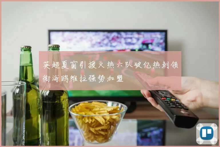 英超夏窗引援火热六队破亿热刺领衔海鸥维拉强势加盟