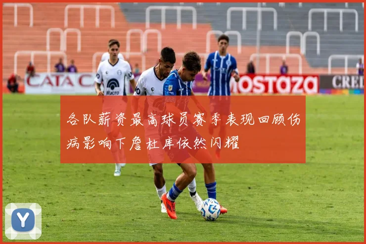 各队薪资最高球员赛季表现回顾伤病影响下詹杜库依然闪耀